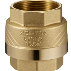 FL6,Обратный клапан 2" латунный шток (18/3)